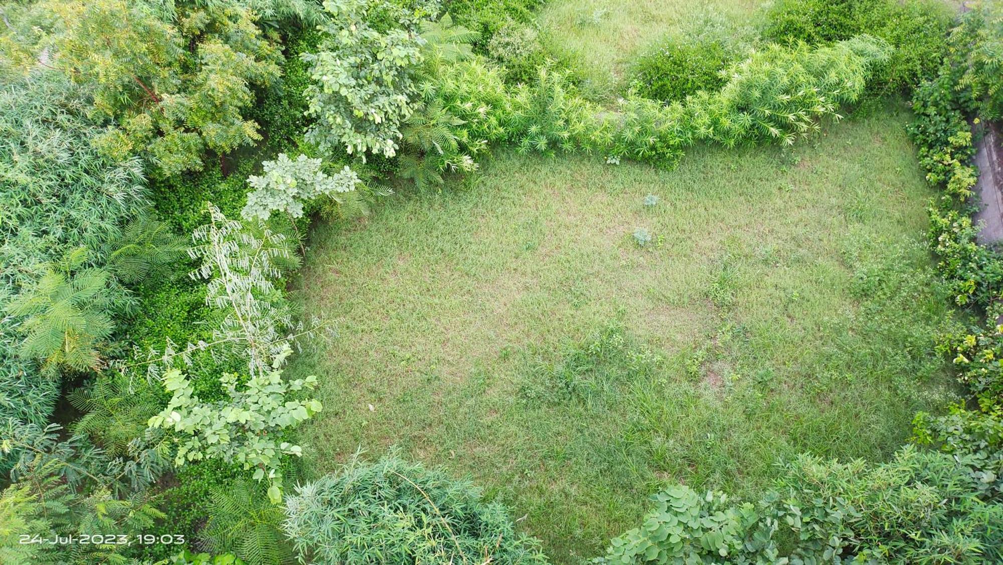 Osho Villa Guest House Džajpur Exteriér fotografie